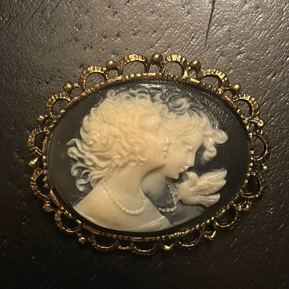 Vintage Cameo Brooch with Gold Tone Trim